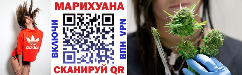 МЕФ Луга